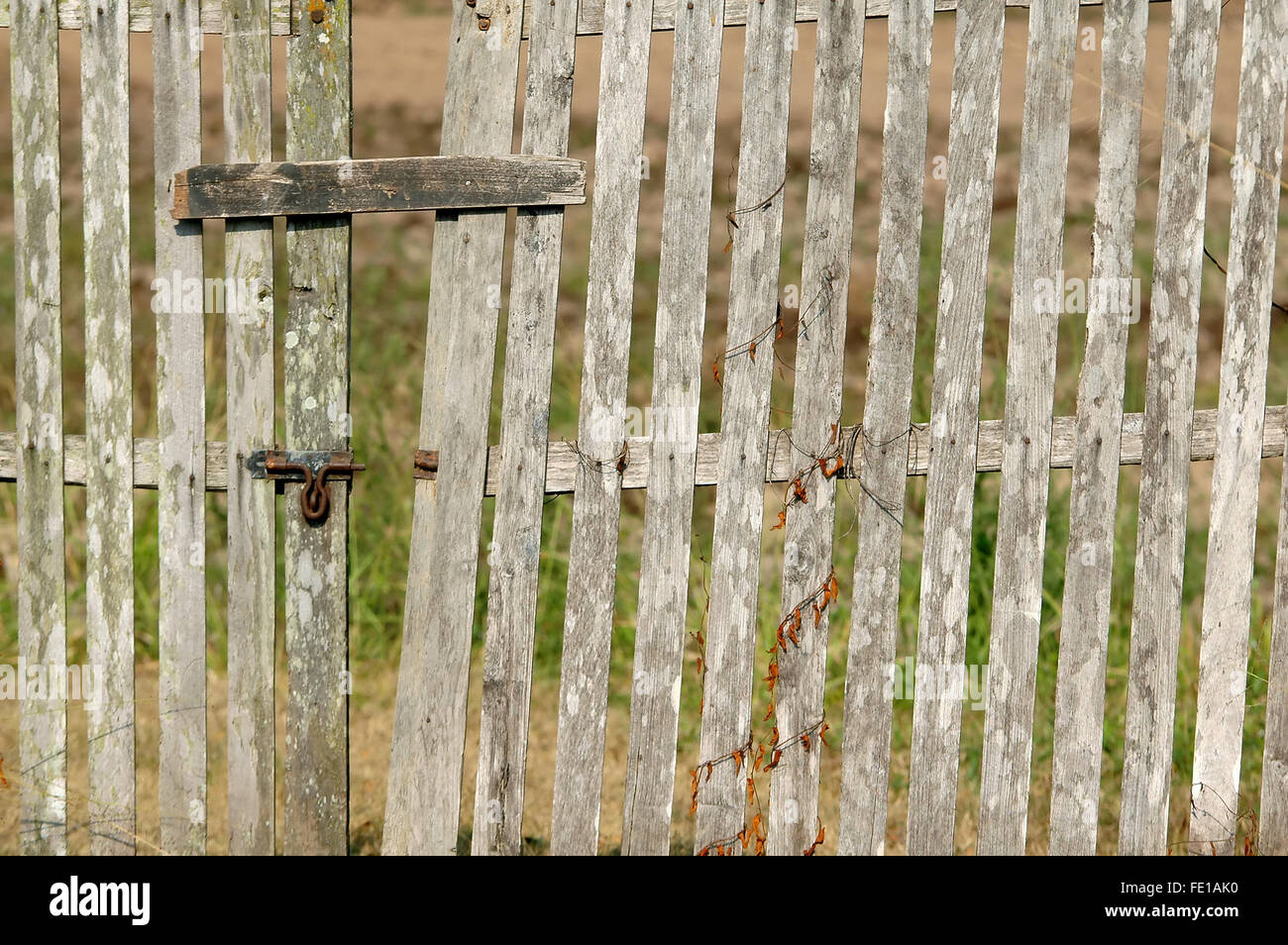 old wooden fence with a gate Stock Photo