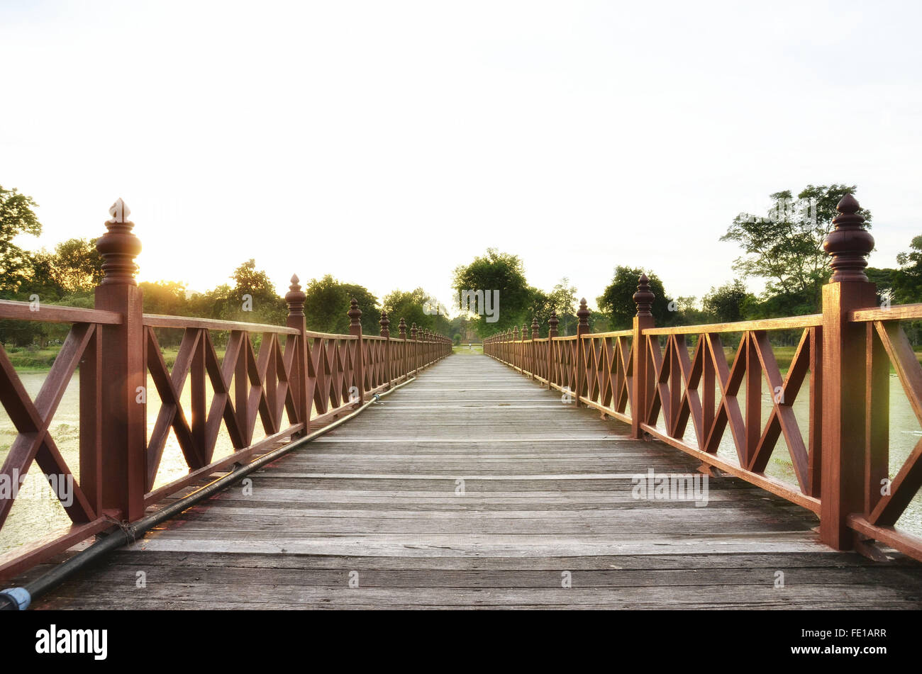 Wooden bridge in the forest hi-res stock photography and images - Alamy