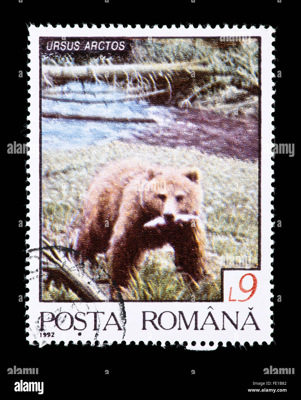 Postage stamp from Romania depicting a brown bear (Ursus arctos) with a fish. Stock Photo