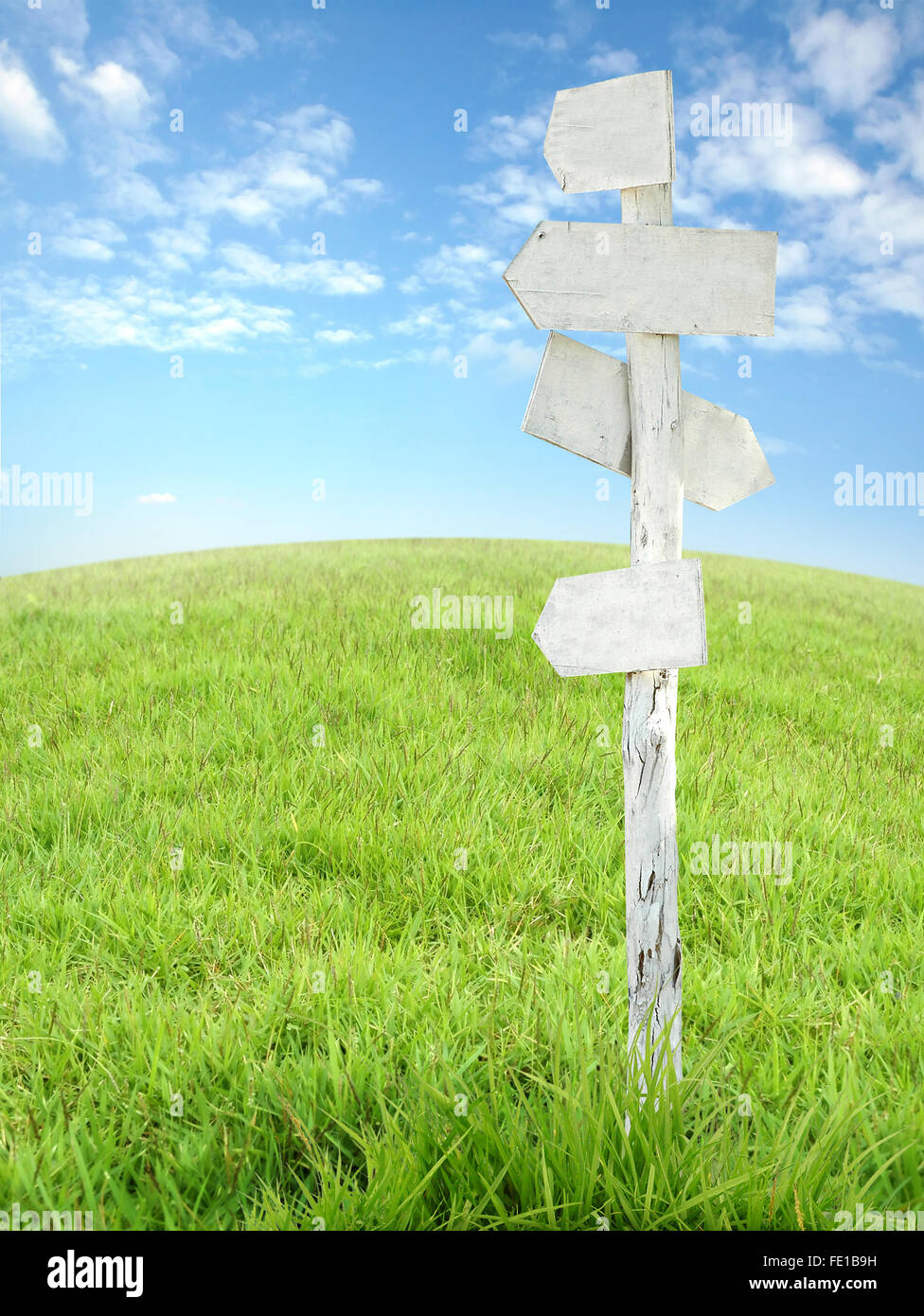 wooden signpost with grass and blue sky Stock Photo