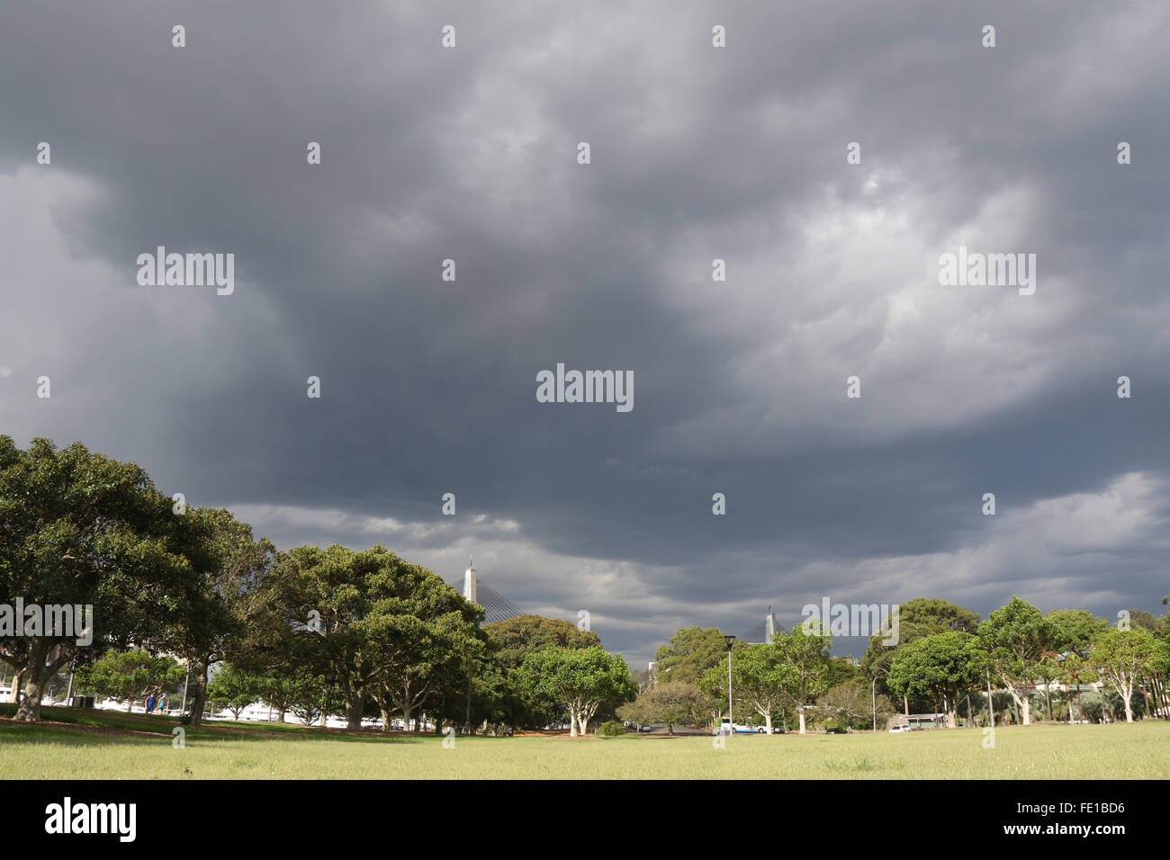Bicentennial Park, Glebe – Sydney, Australia Stock Photo