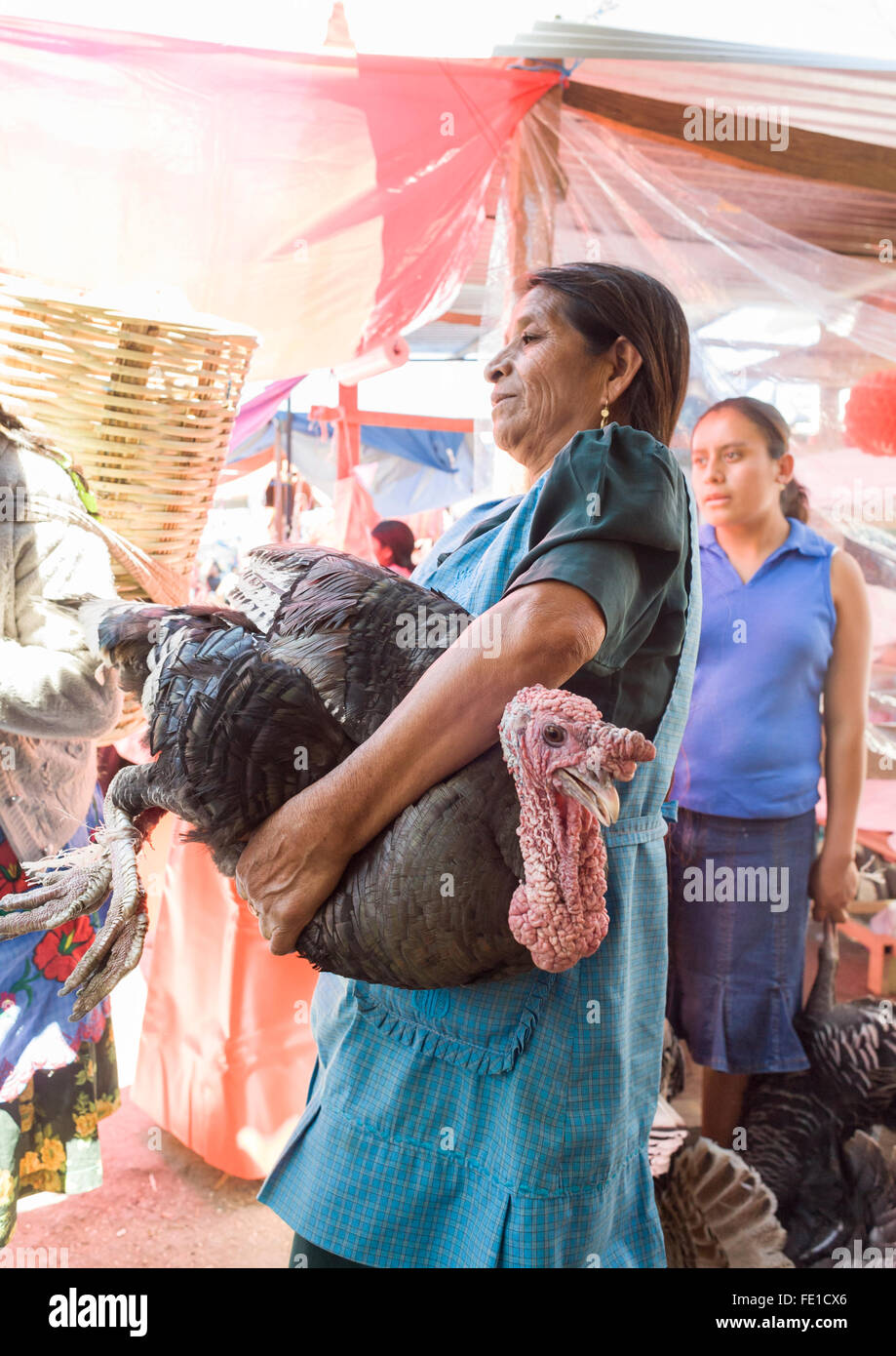 A local woman carrying a big turkey in the Mercado de Abastos public market, Oaxaca, Mexico. Live animals are often for sale. Stock Photo
