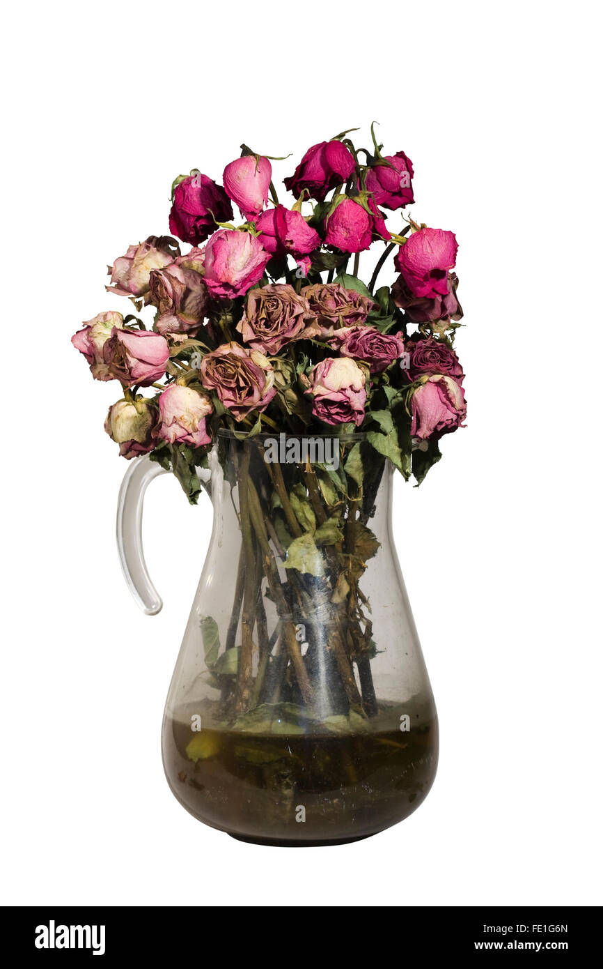 Dead flowers vase hires stock photography and images Alamy