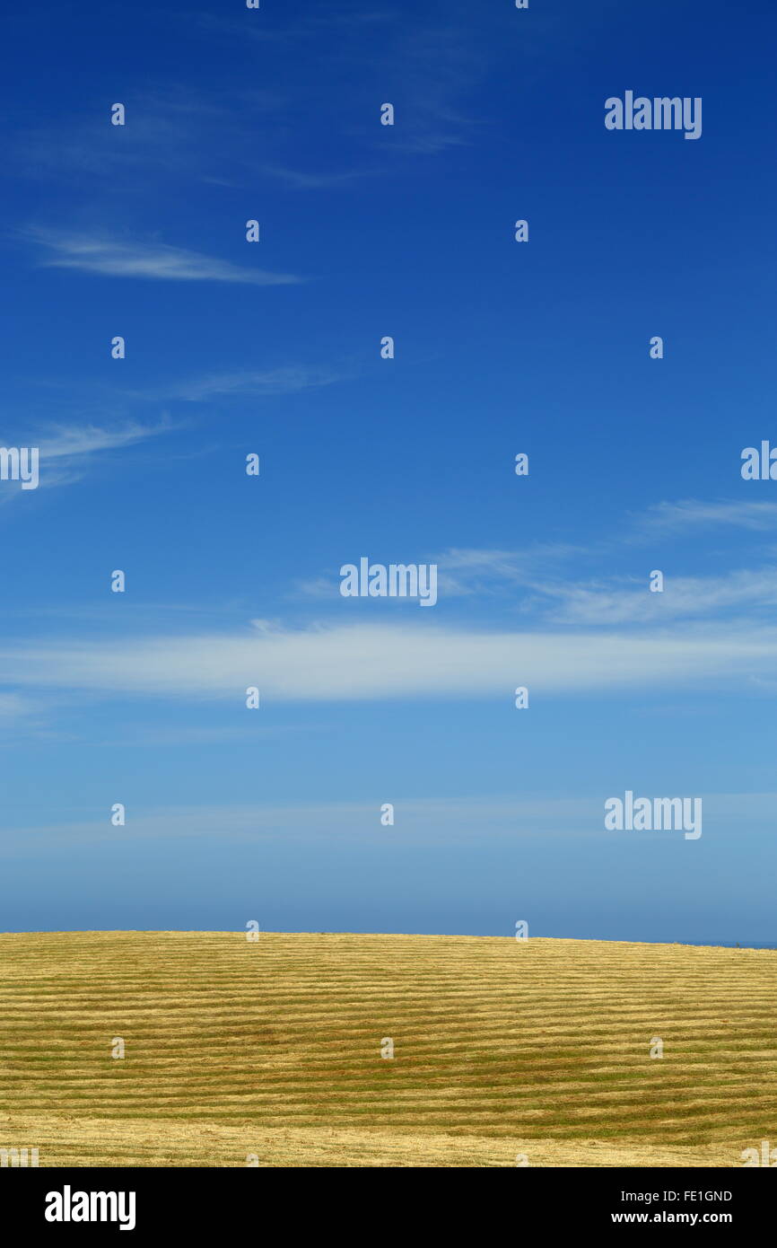Summer skies over a freshly mowed pasture. Stock Photo