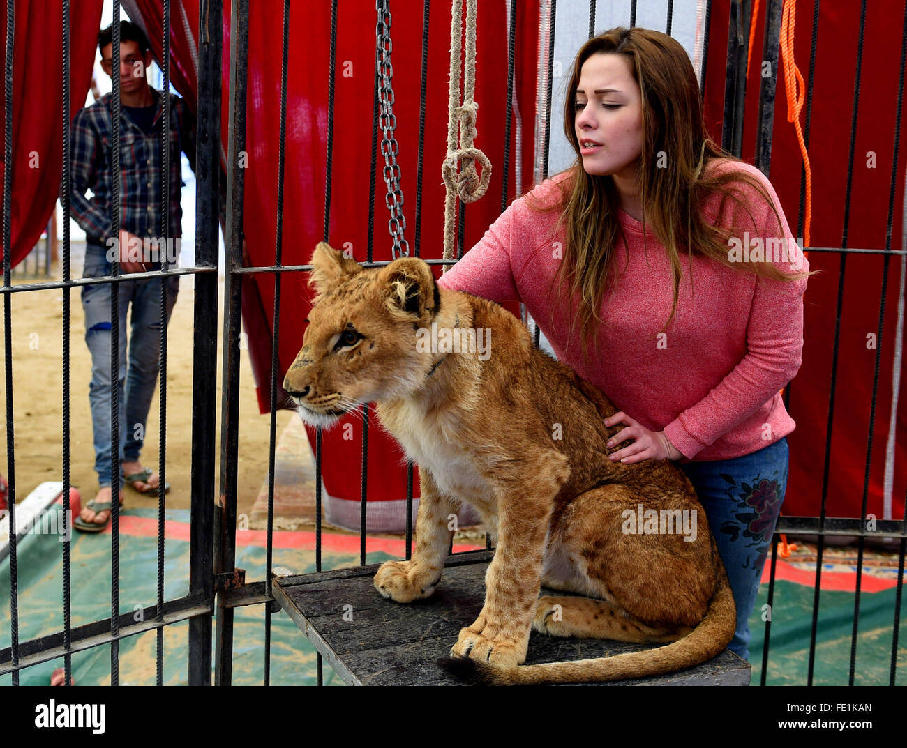 Damietta. 30th Jan, 2016. Anosa Kouta plays with a little lioness in ...