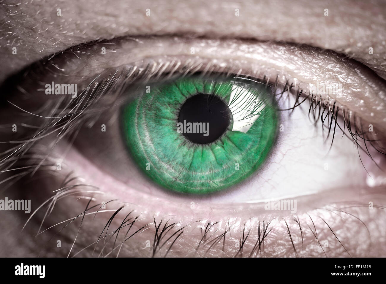 Human green eye Stock Photo Alamy