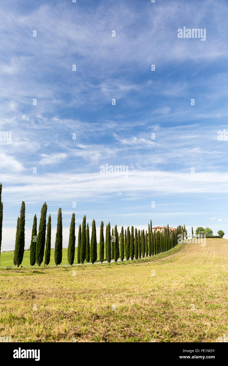 Poggio Covili, Tuscany, Italy Stock Photo - Alamy