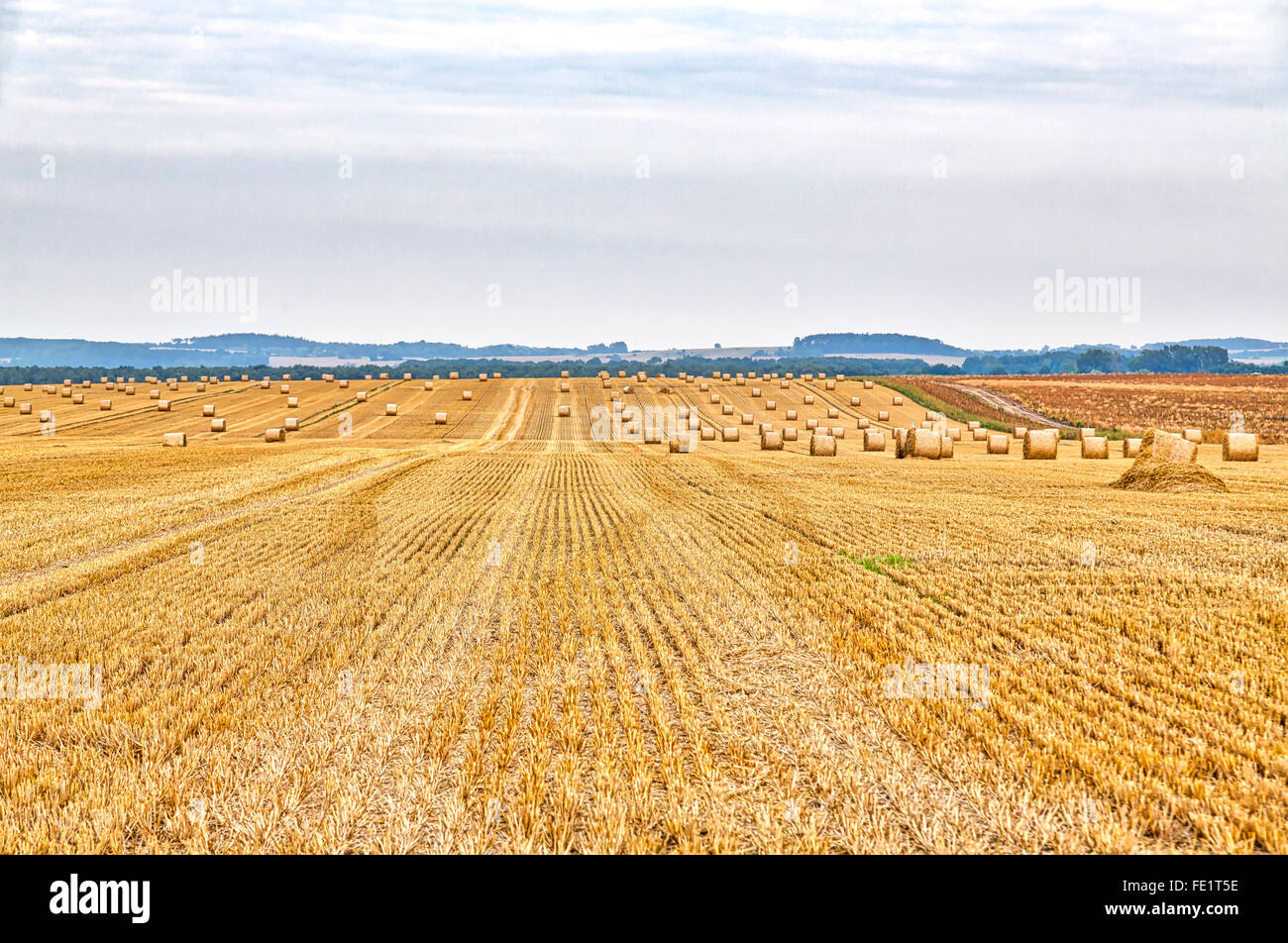 Agriculture or farming summer hdr hi-res stock photography and images ...