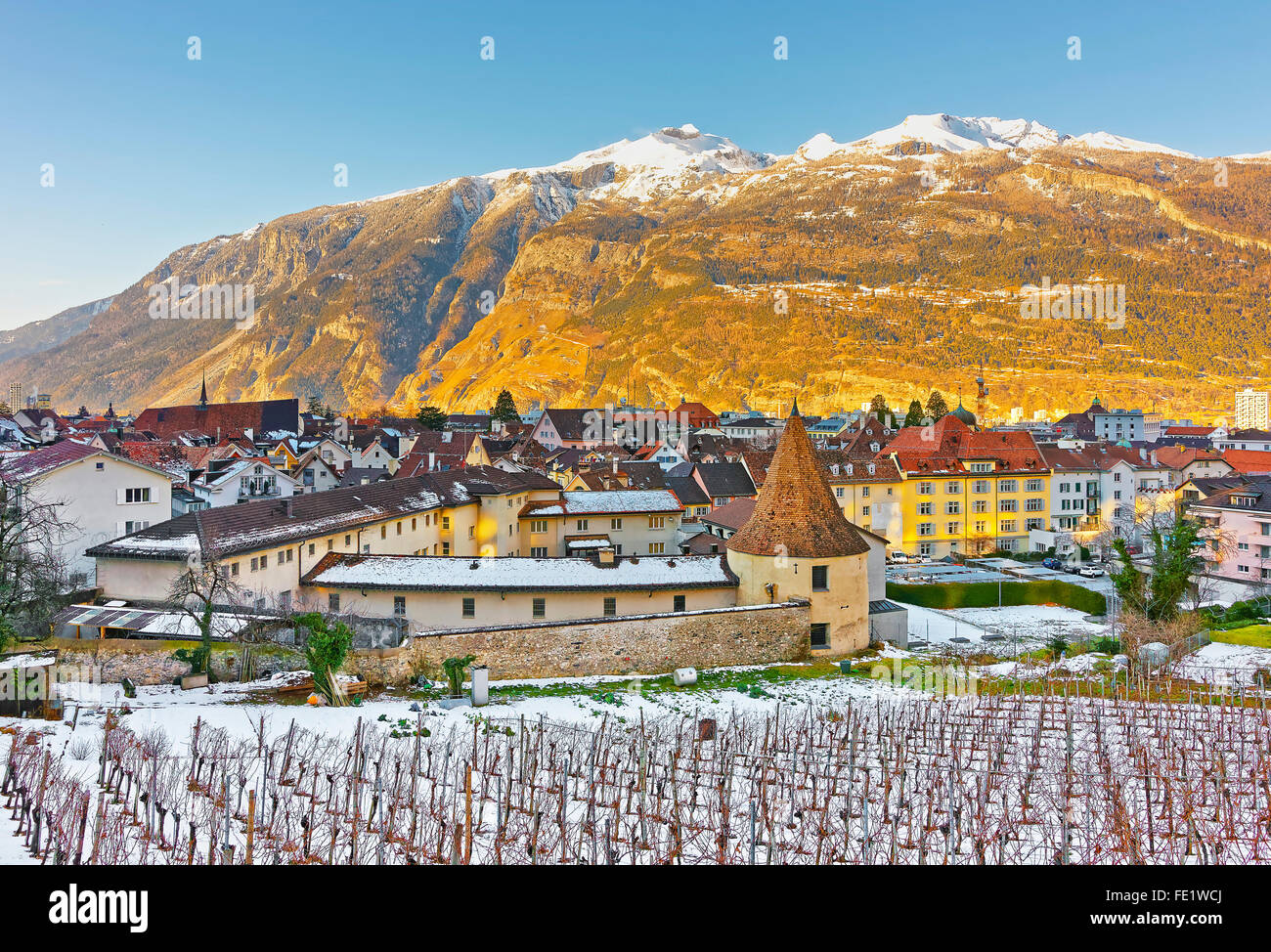 Vineyard and Alps in Chur at sunrise. Chur is the capital of canton Graubunden in Switzerland. It lies in the Alpine Grisonian Rhine valley. The city is the oldest town of Switzerland Stock Photo