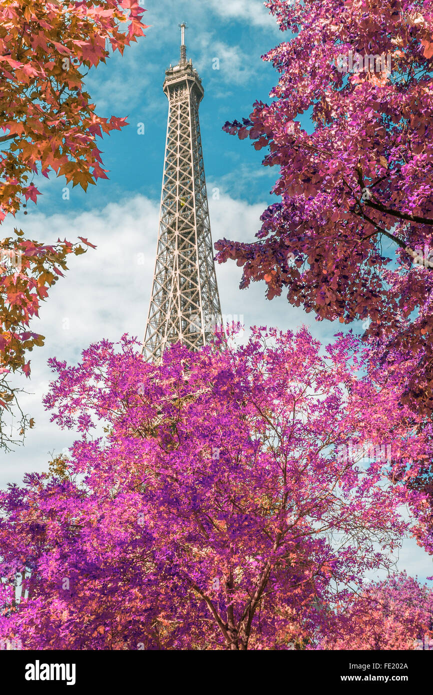 View in Paris with Eiffel tower in autumn time, false color infrared Stock Photo