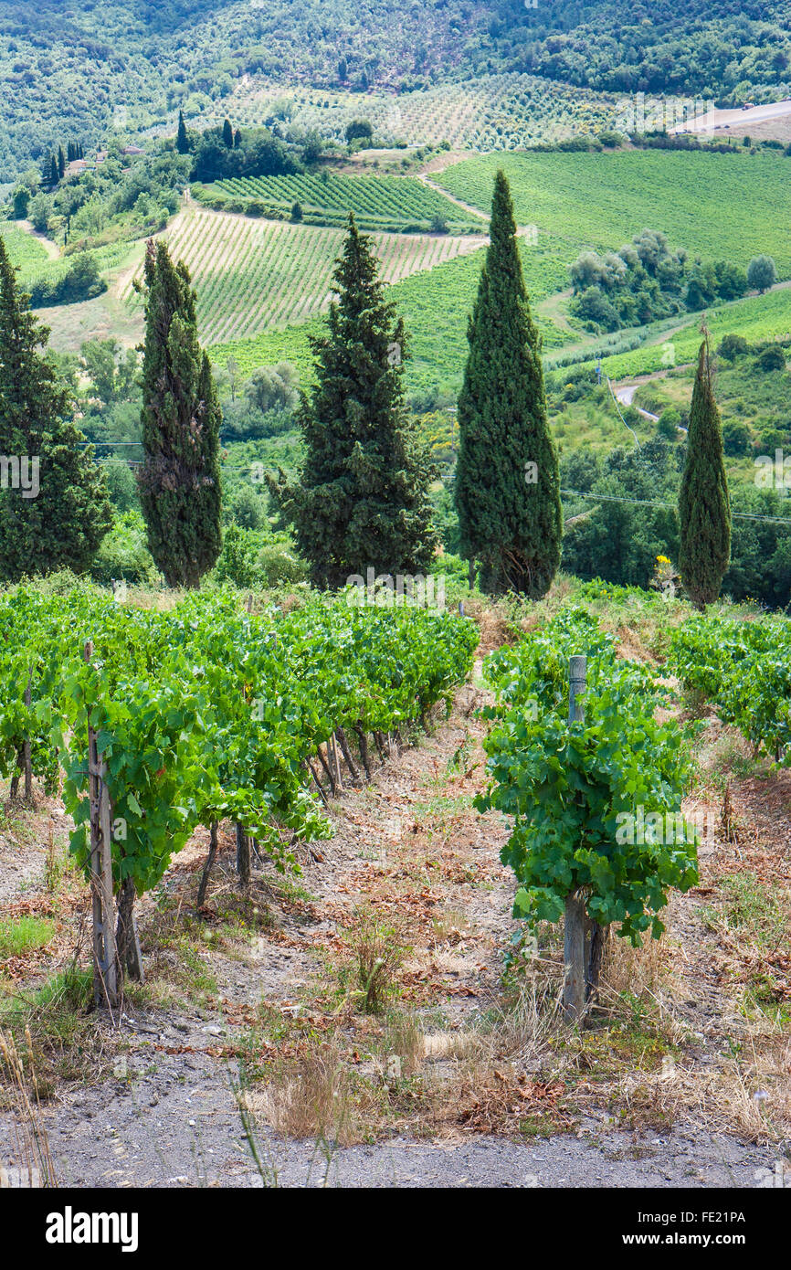 Hilly area hires stock photography and images Alamy