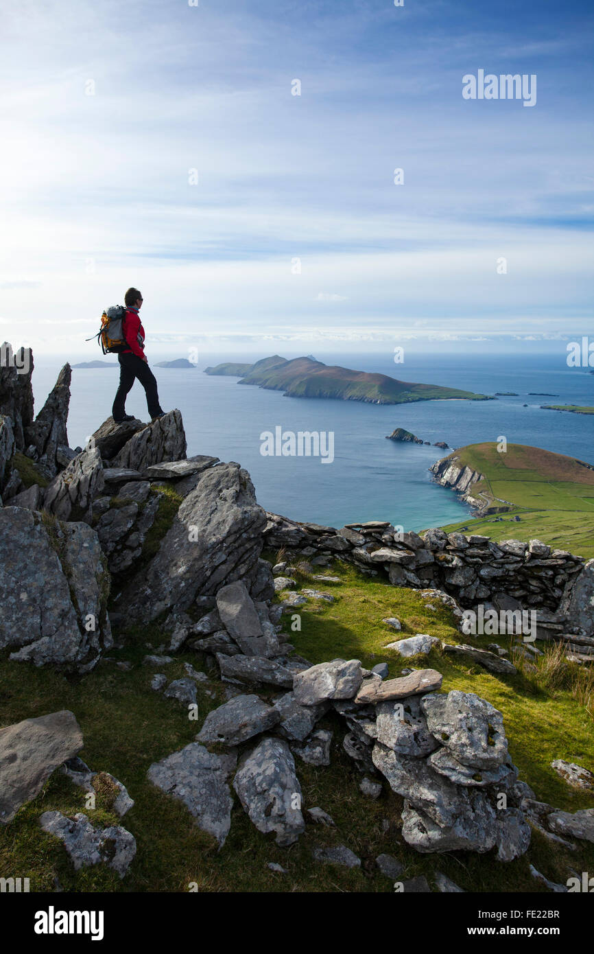 Walker looking across Slea Head and the Blasket Islands from Eagle Mountain, County Kerry, Ireland. Stock Photo
