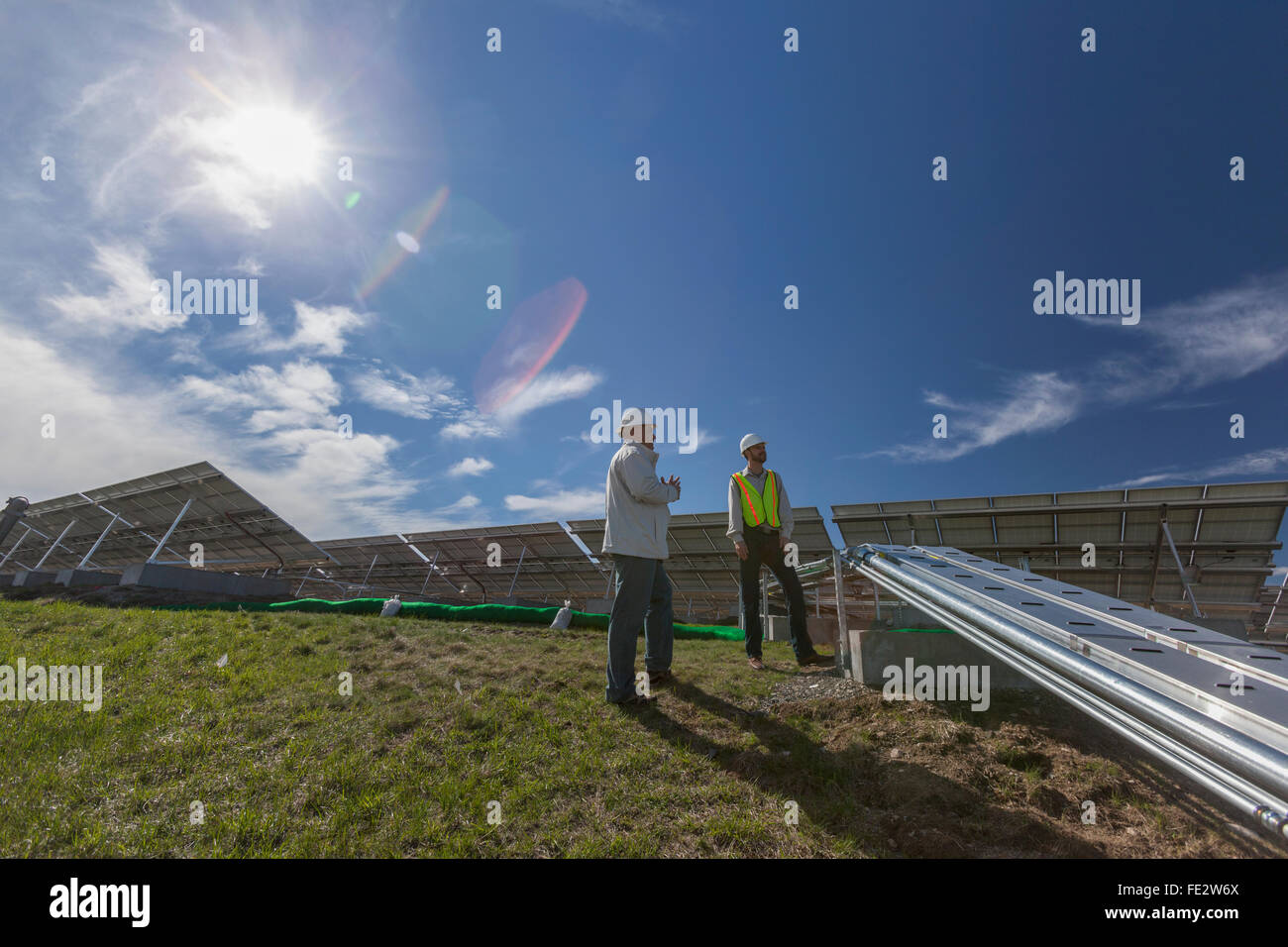 Power engineers standing in front of solar photovoltaic array Stock Photo