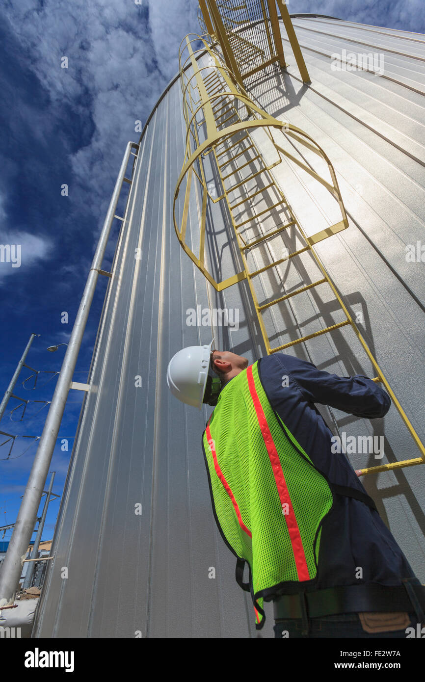 Industrial engineer preparing to climb ladder with safety cage at a ...