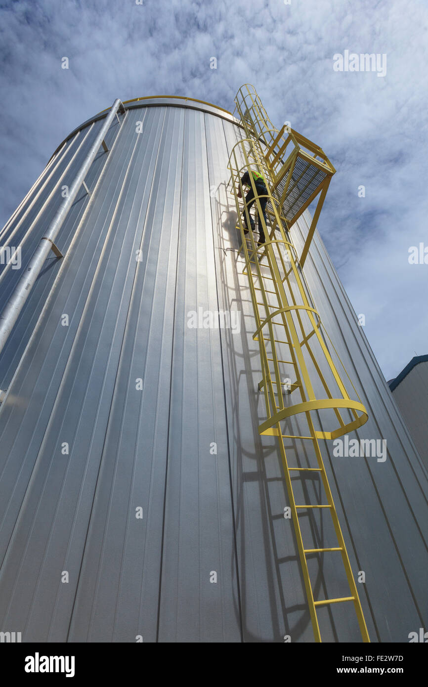 Industrial engineer climbing ladder with safety cage at a power plant