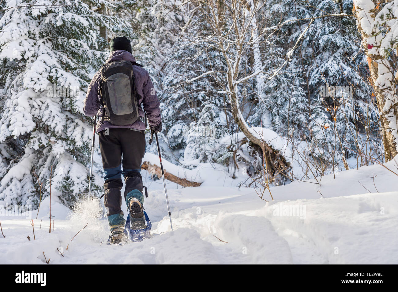 Young man snowshoeing in winter,  in the Quebec eastern townships region, Canada Stock Photo