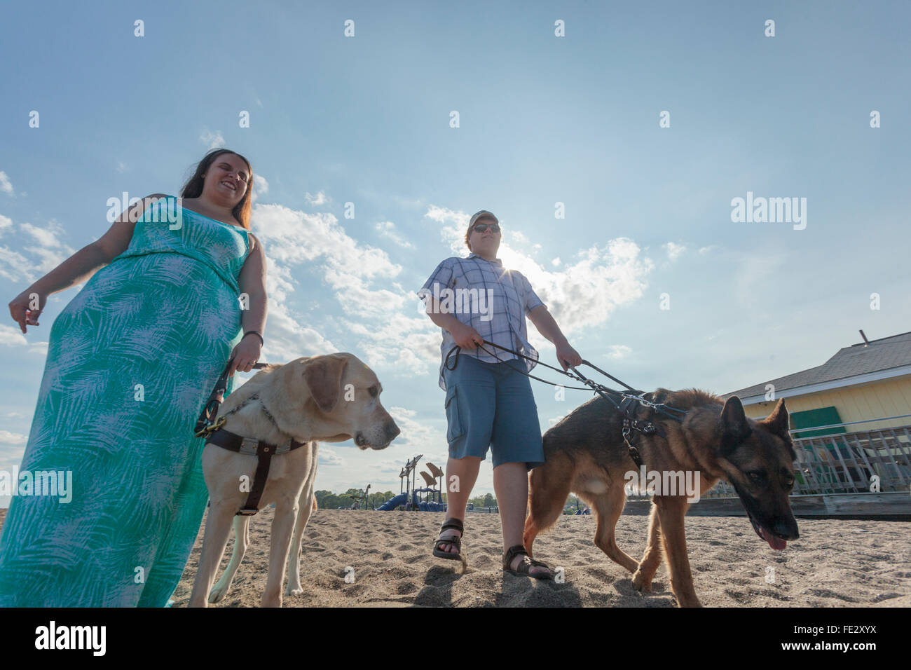 Blind couple with their service dogs walking along the beach Stock Photo