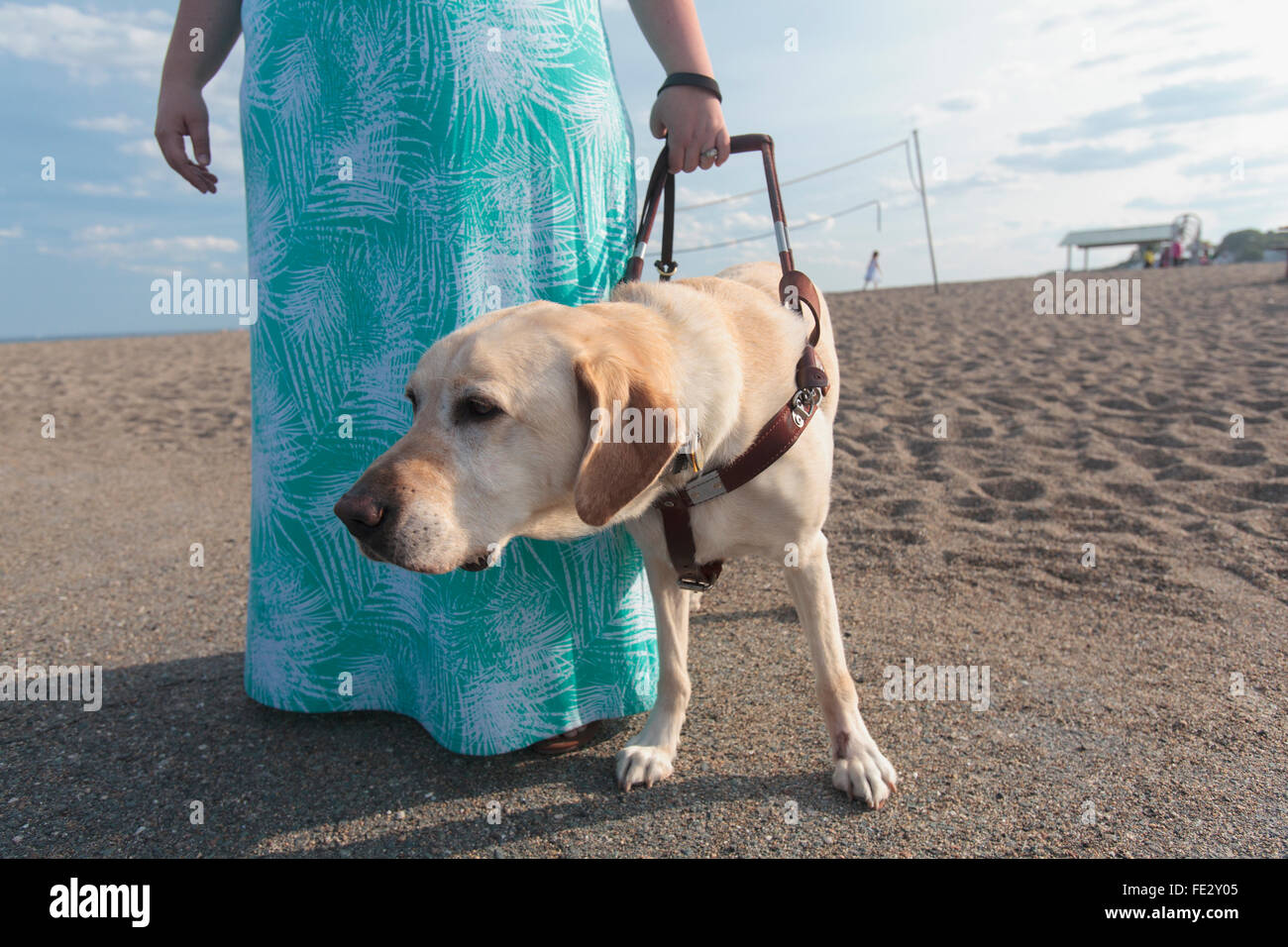 Blind woman walking along the beach with her service dog Stock Photo