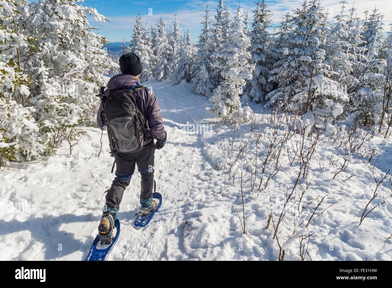 Young man snowshoeing in winter,  in the Quebec eastern townships region, Canada Stock Photo