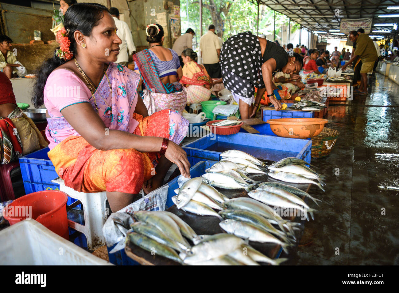 India Goa Fish Market at Panaji Stock Photo Alamy