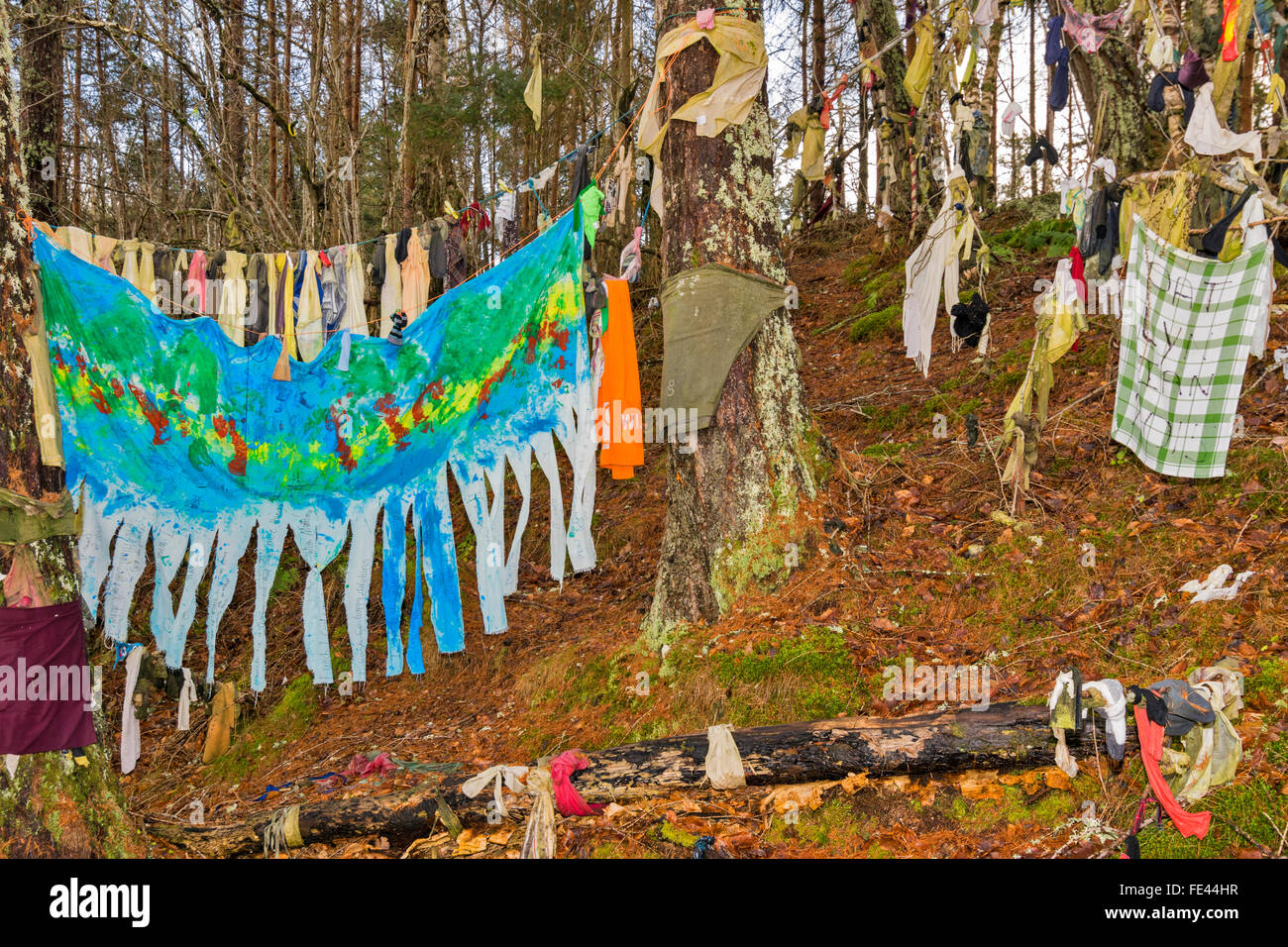 CLOOTIE WELL MUNLOCHY BLACK ISLE SCOTLAND COLOURFUL CLOTHES ON TREE TRUNKS AND BRANCHES ABOVE THE WELL Stock Photo