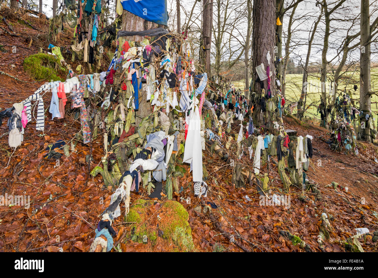 CLOOTIE WELL MUNLOCHY BLACK ISLE SCOTLAND GARMENTS AND CLOTHES ON TREES AND BRANCHES THE HILL ABOVE THE WELL Stock Photo