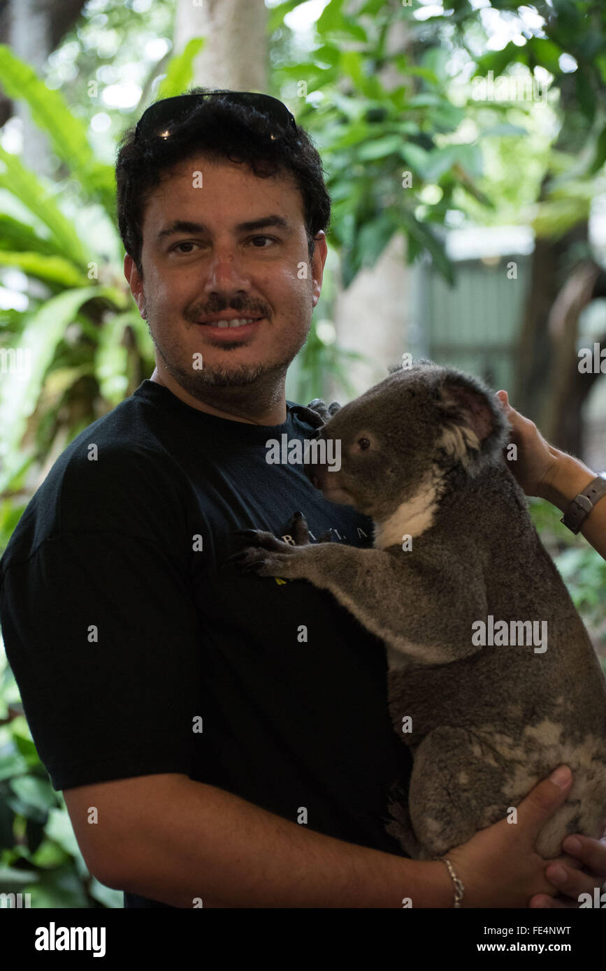 Mid Adult Man Holding Koala Bear Stock Photo