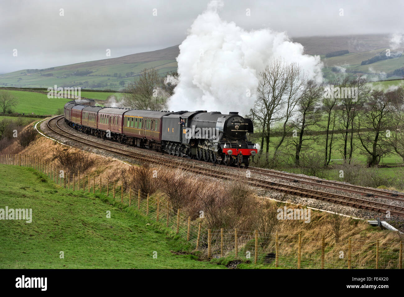 Clapham, North Yorkshire, UK, 4th February 2016. The Flying Scotsman steam locomotive on a test run, with a full load of coaches, in preparation for taking a train of passengers over the Settle-Carlisle railway line this coming Saturday. The train is seen near Clapham in North Yorkshire. Credit:  John Bentley/Alamy Live News Stock Photo