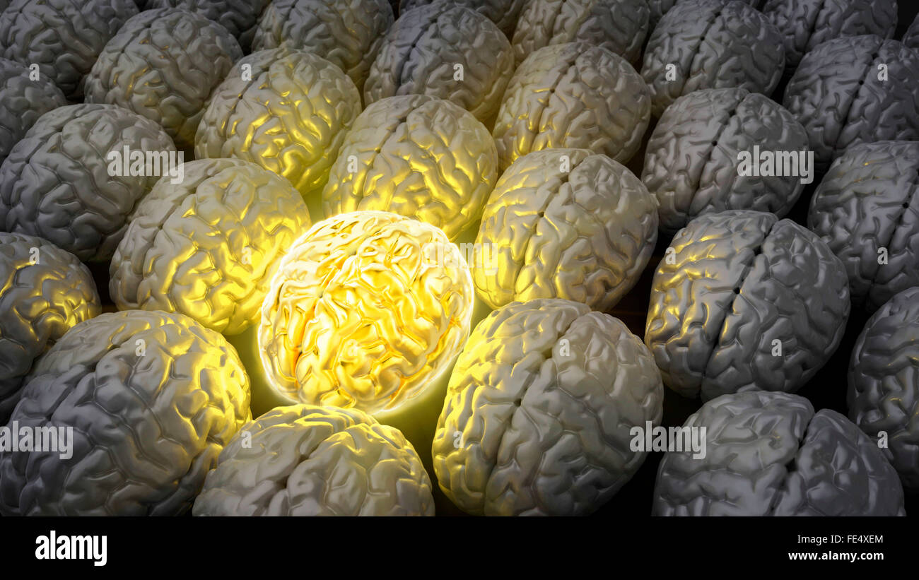 Brain of a genius Stock Photo