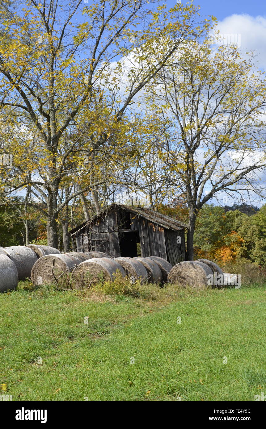 An old wooden building surrounded by trees and bales of hay Stock Photo