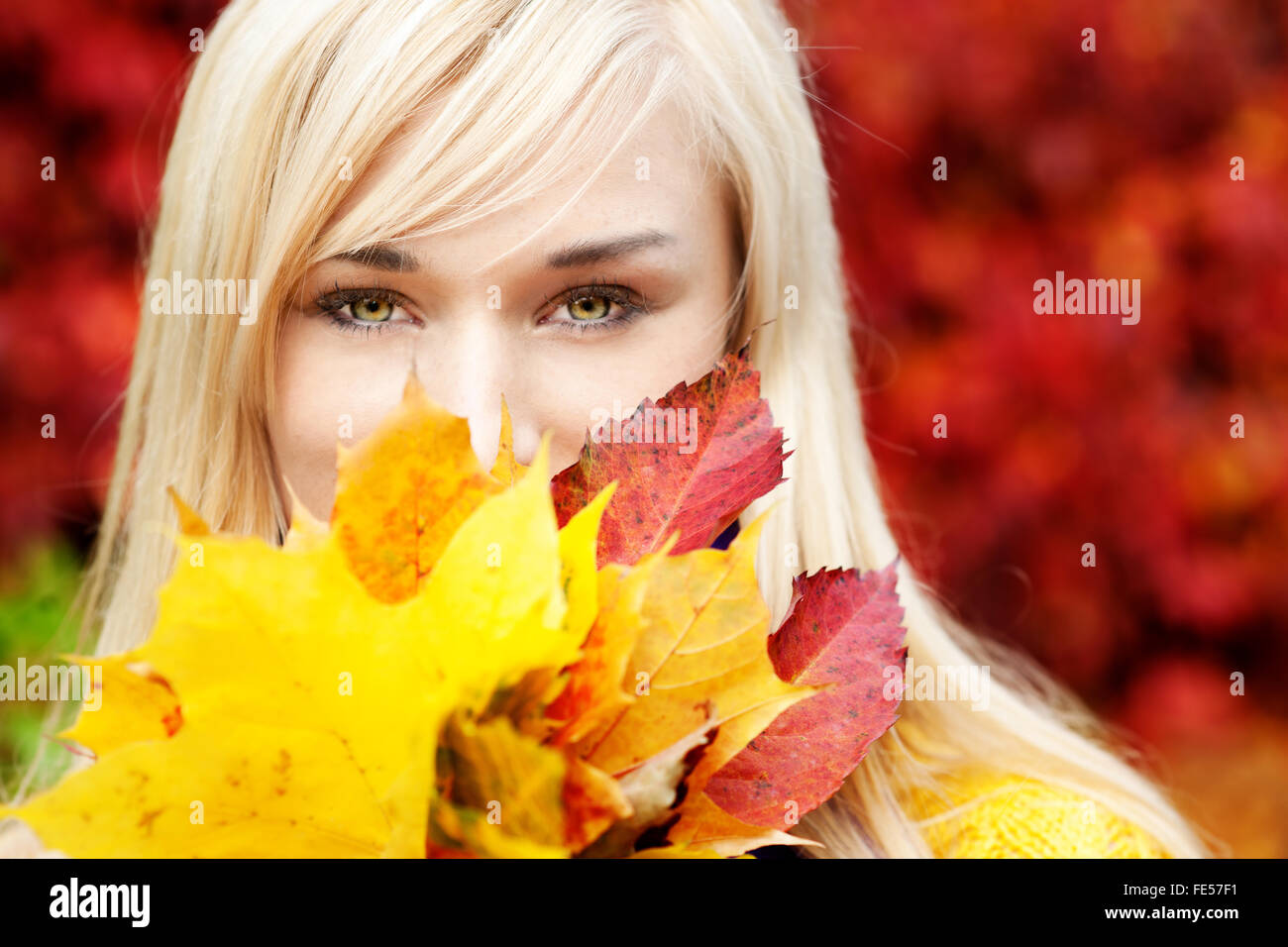 Beautiful Young blond woman with leafs - autumn portrait Stock Photo ...