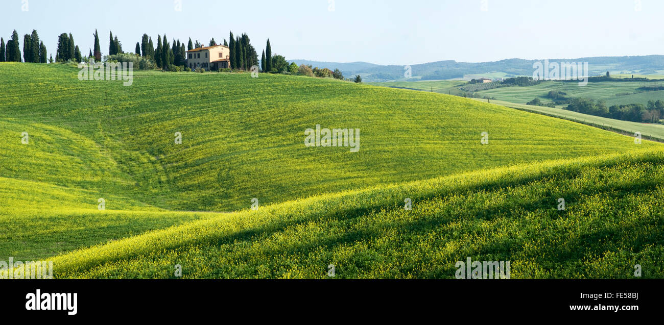 Tuscany landscape with typical farm house on a hill Stock Photo - Alamy