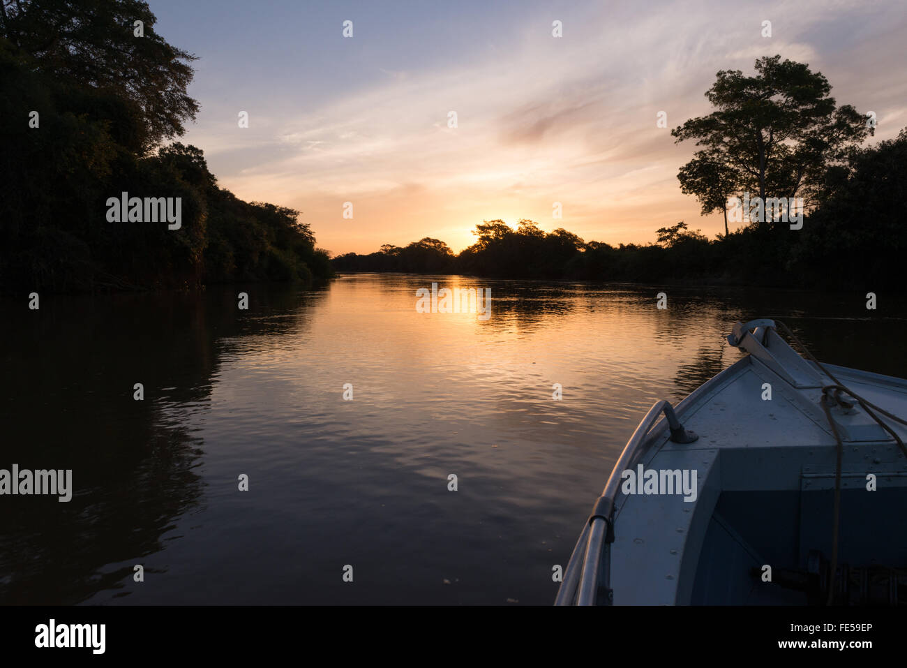A boat in a river in the Pantanal Stock Photo