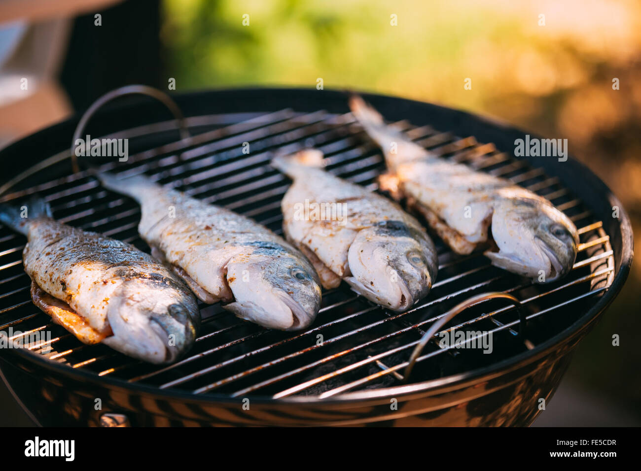 Gilthead bream, (Sparus aurata), fish grilled outdoors. Lowcalorie dishes, healthy food