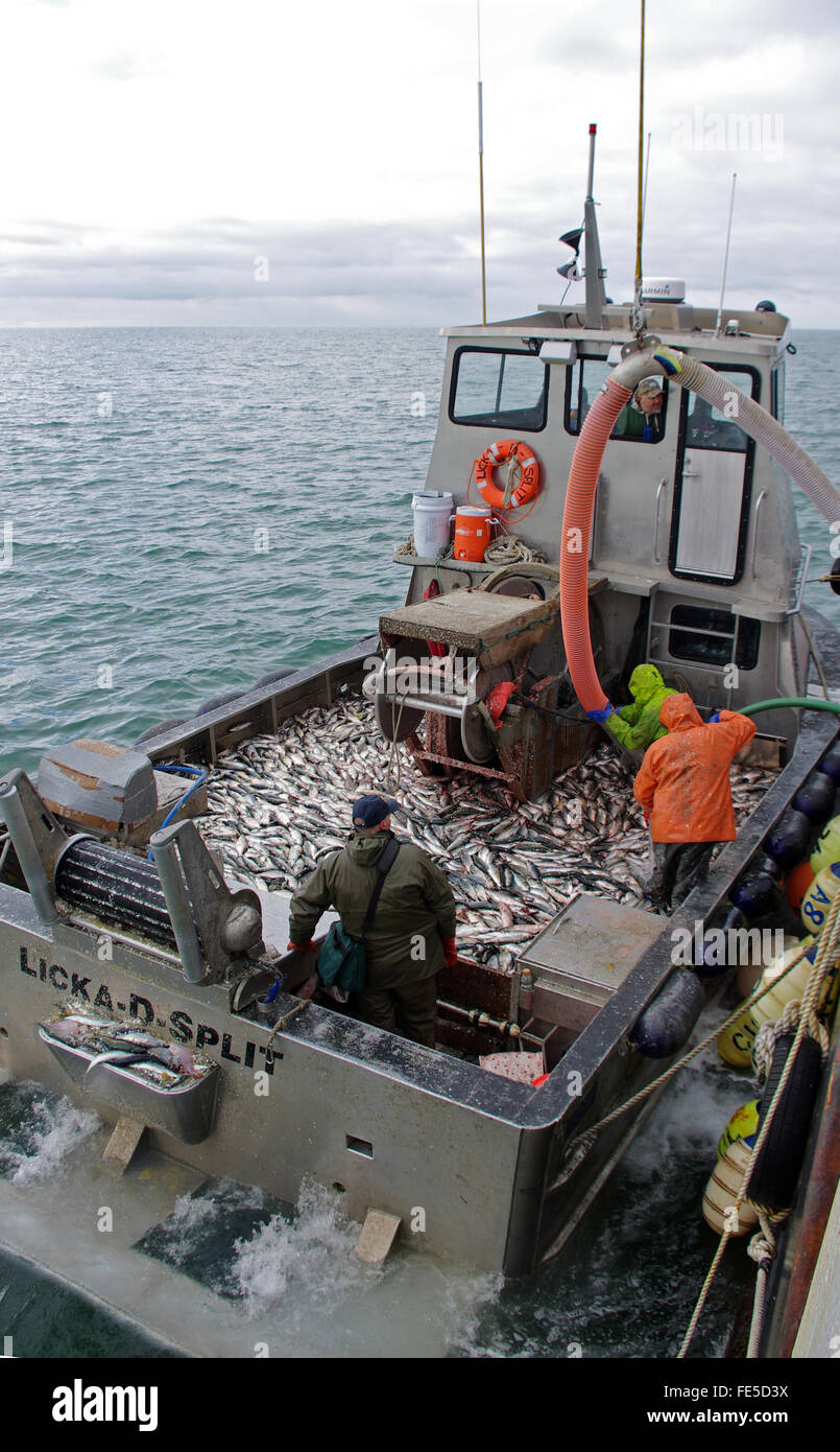 Togiak High Resolution Stock Photography and Images Alamy