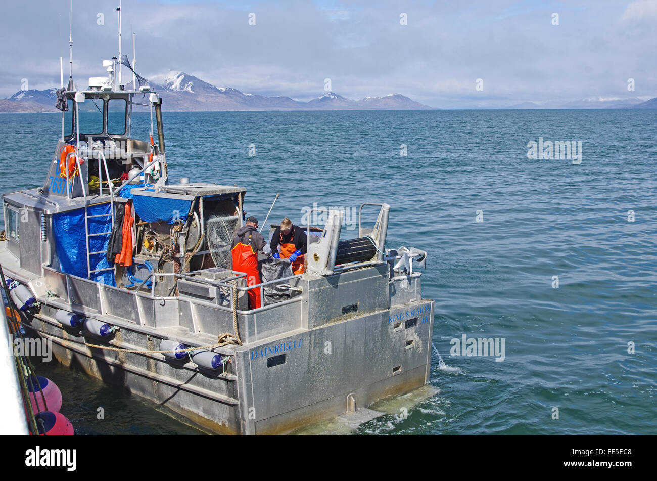 Fishermen untangling a herring gill net on the deck of a boat in