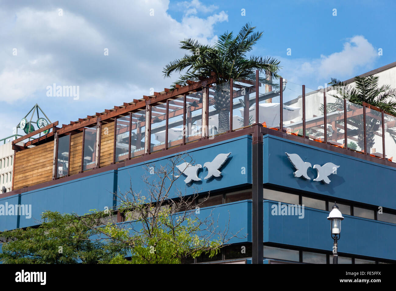 A view of an elevated patio with palm trees in downtown Barrie, Ontario
