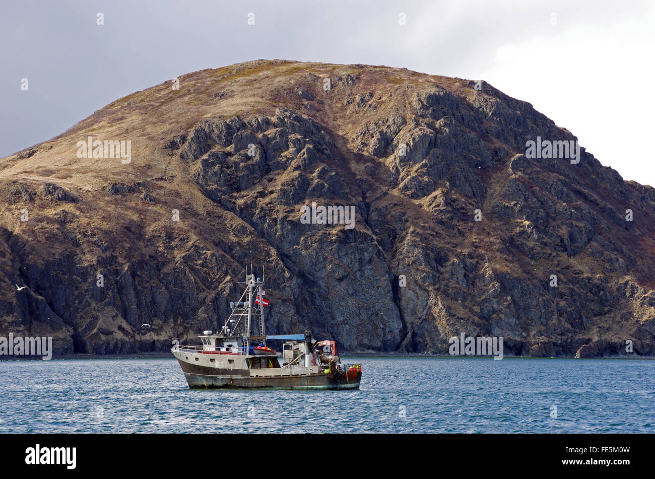 Tender boat in Togiak, Alaska during herring fishing season Stock Photo