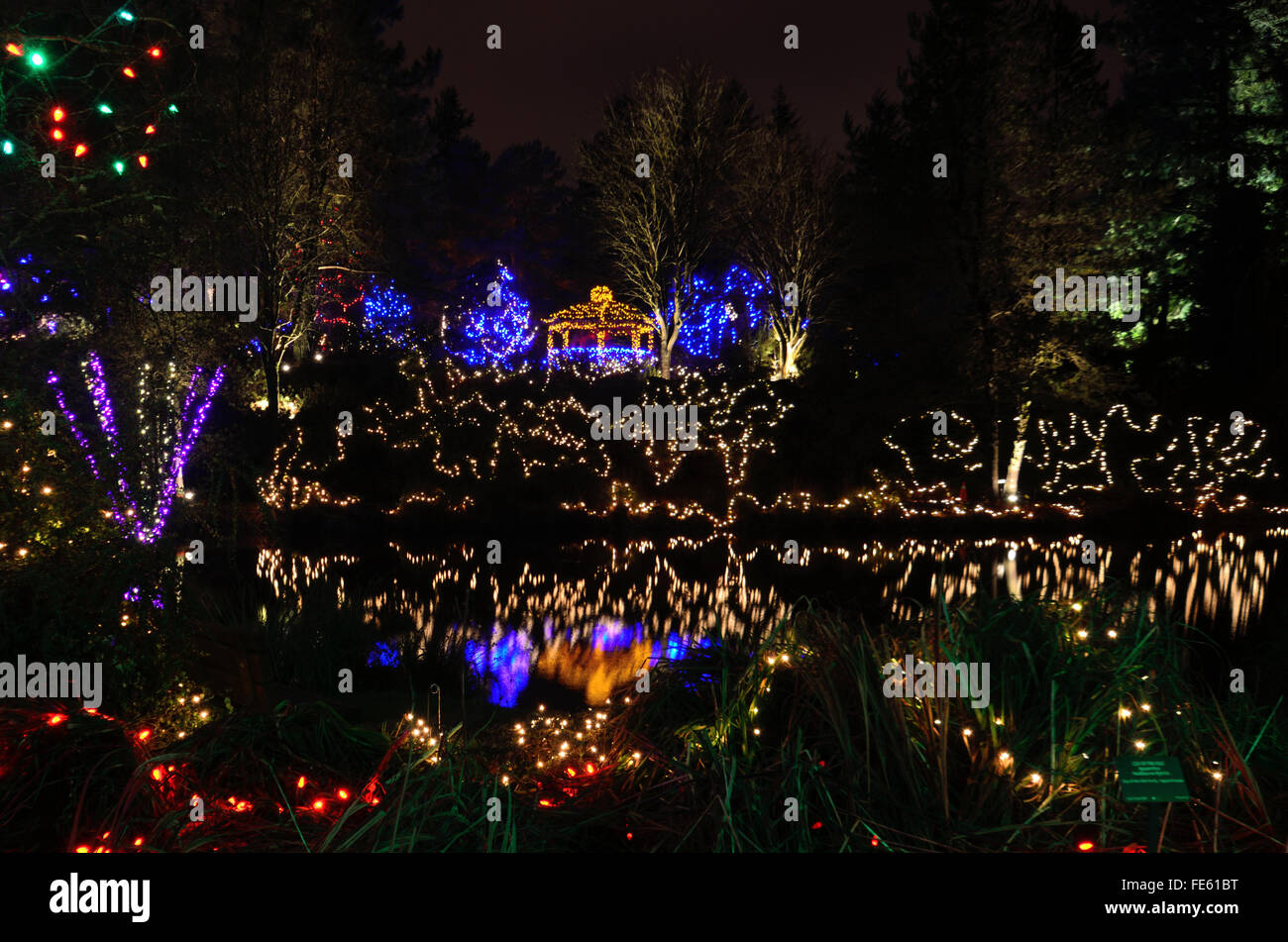 VanDusen Botanical Garden Light Festival, Vancouver, Canada Stock Photo