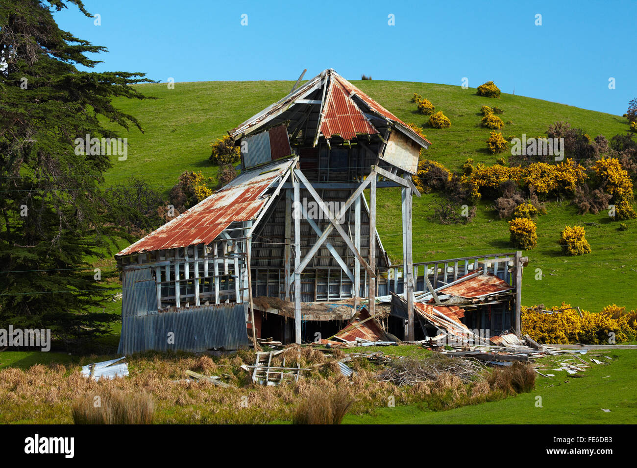 Derelict historic building (originally from the 1889-90 South Seas Exhibition), Kuri Bush, Taieri Mouth, Dunedin, Otago, NZ Stock Photo