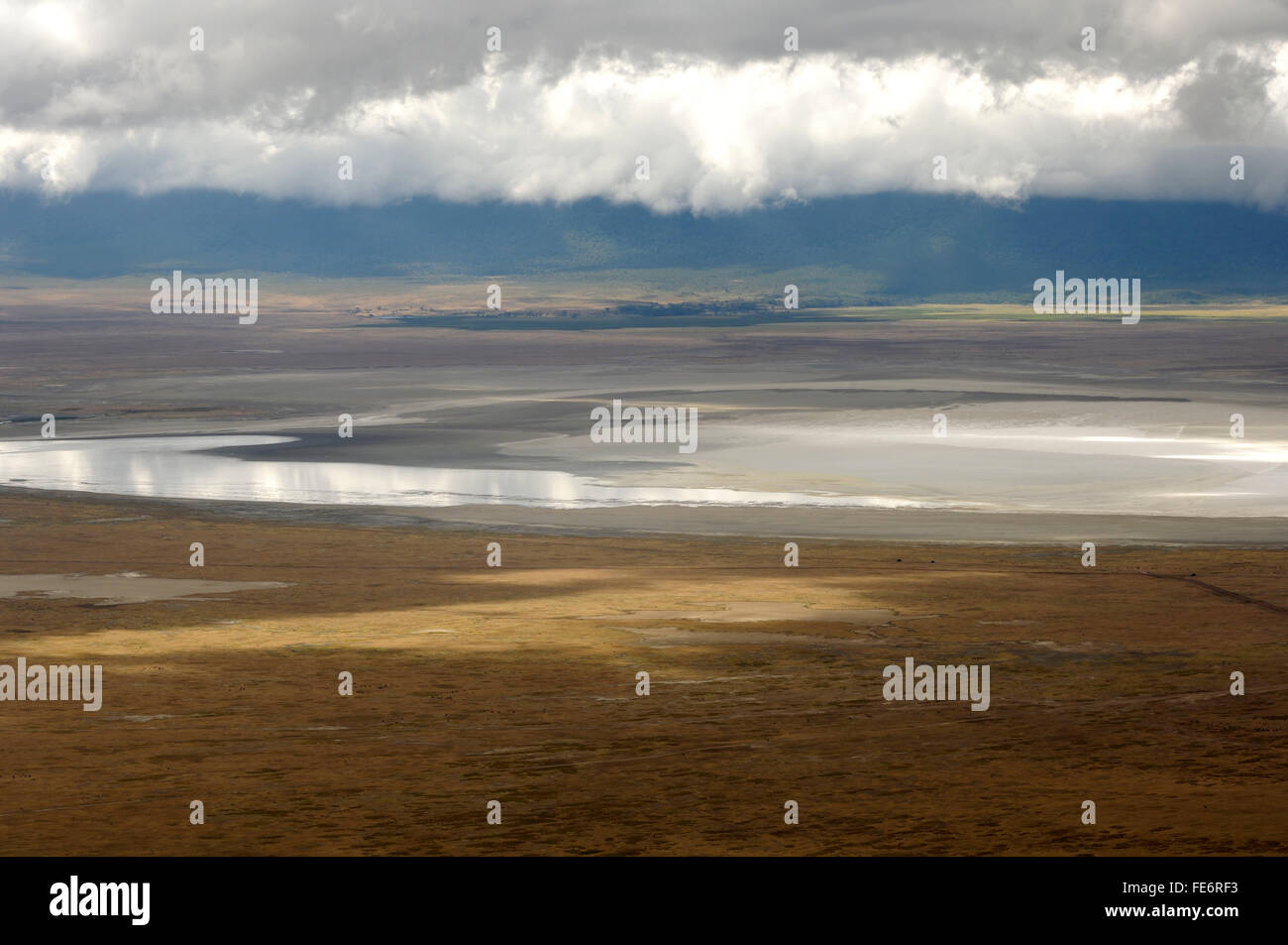 Lake Magadi in Ngorongoro Crater Stock Photo