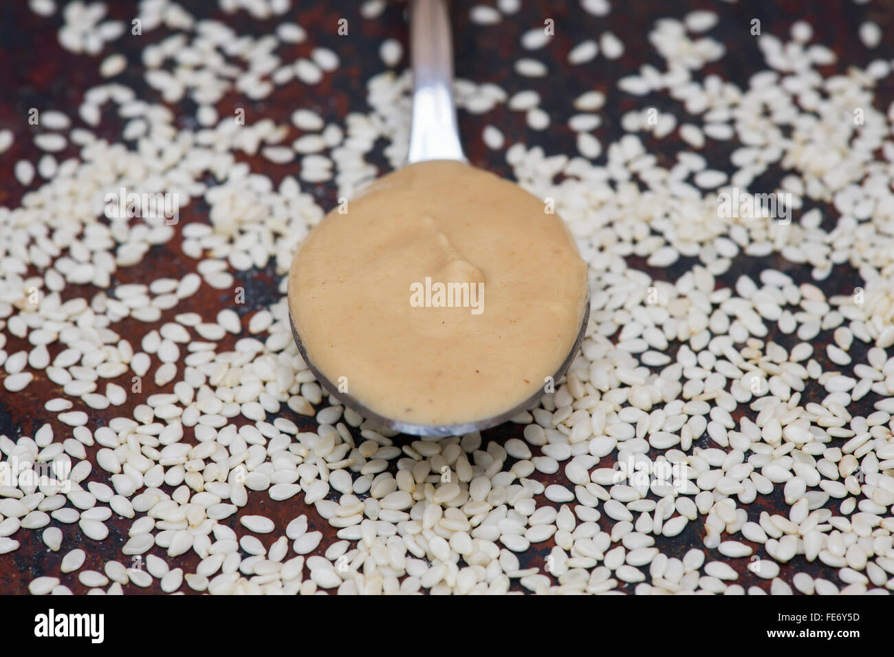 Tahini in a spoon and seasame seeds on slate Stock Photo