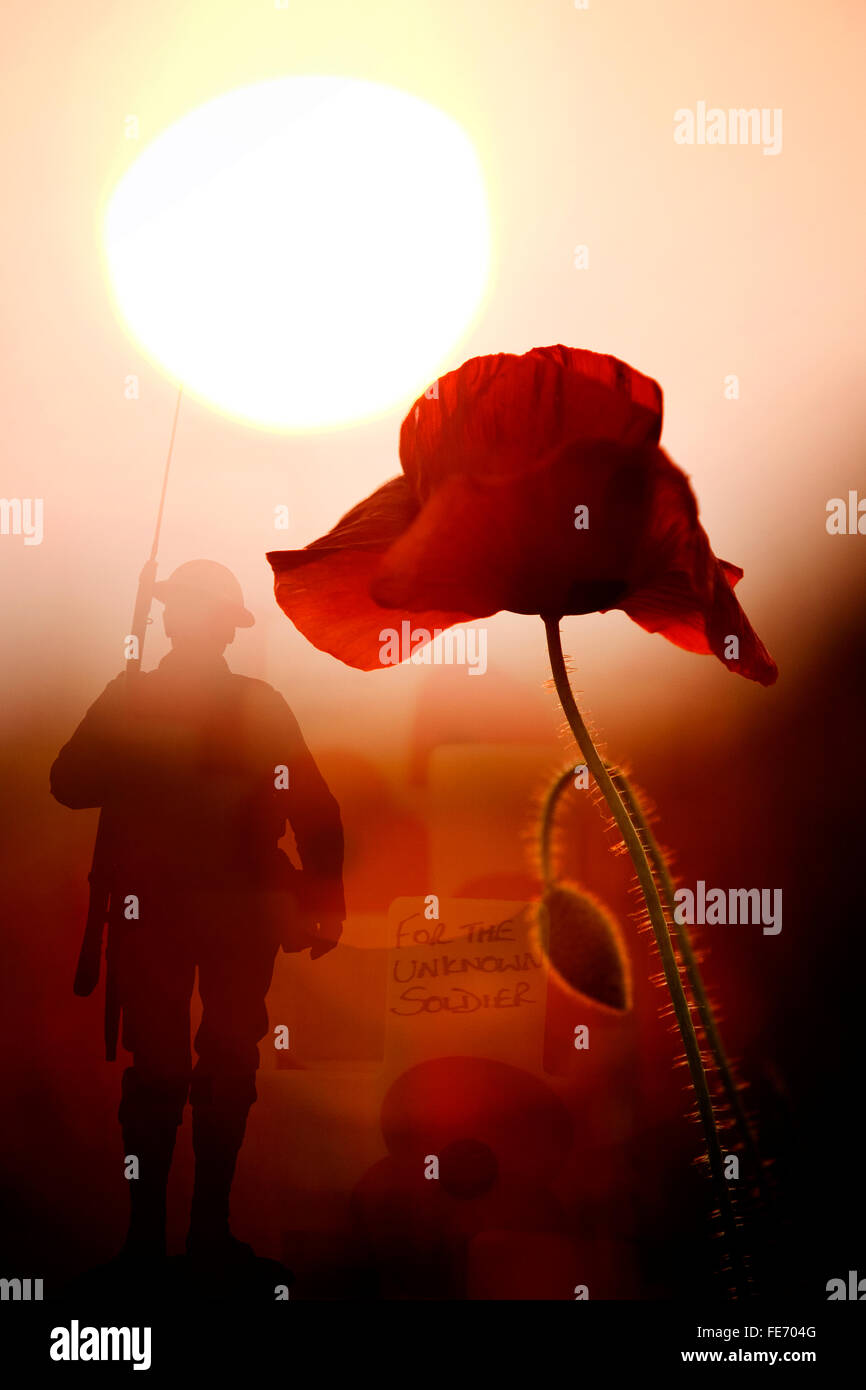 Unknown soldier, poppy remembrance montage Stock Photo