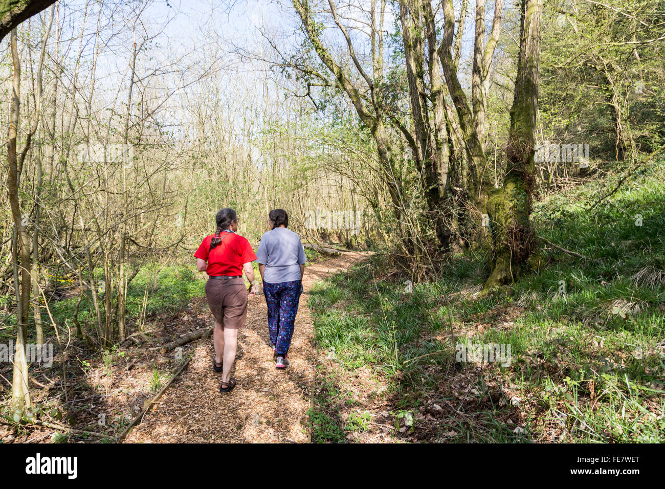 Two women walking on path through Coed-y-Cerrig nature reserve, Wales, UK Stock Photo