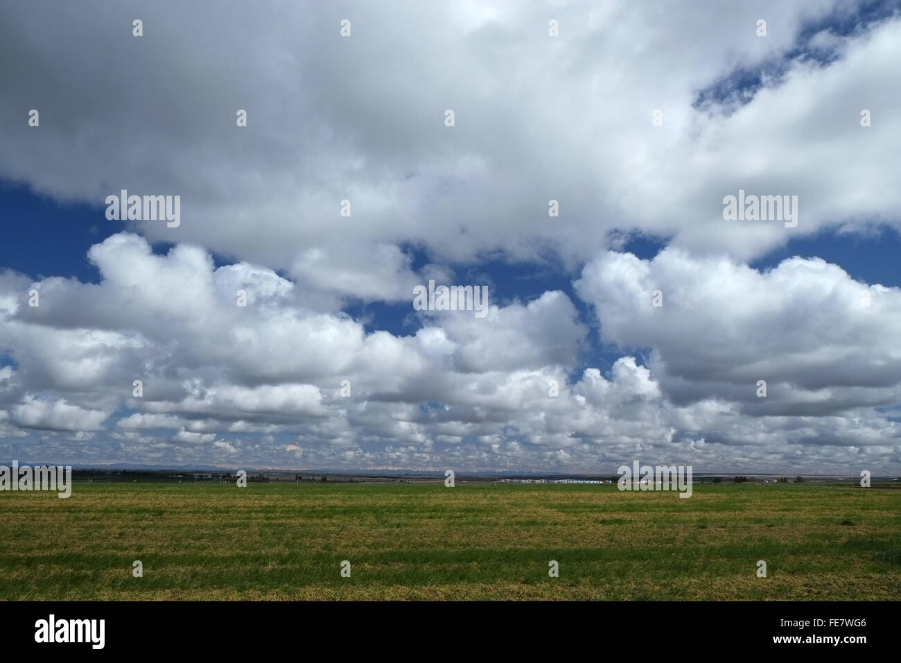 Fields under cumulus clouds Jerome County Idaho Stock Photo
