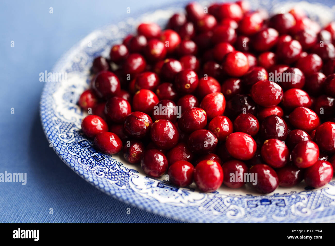 Antique blue plate filled with fresh cranberries Stock Photo Alamy