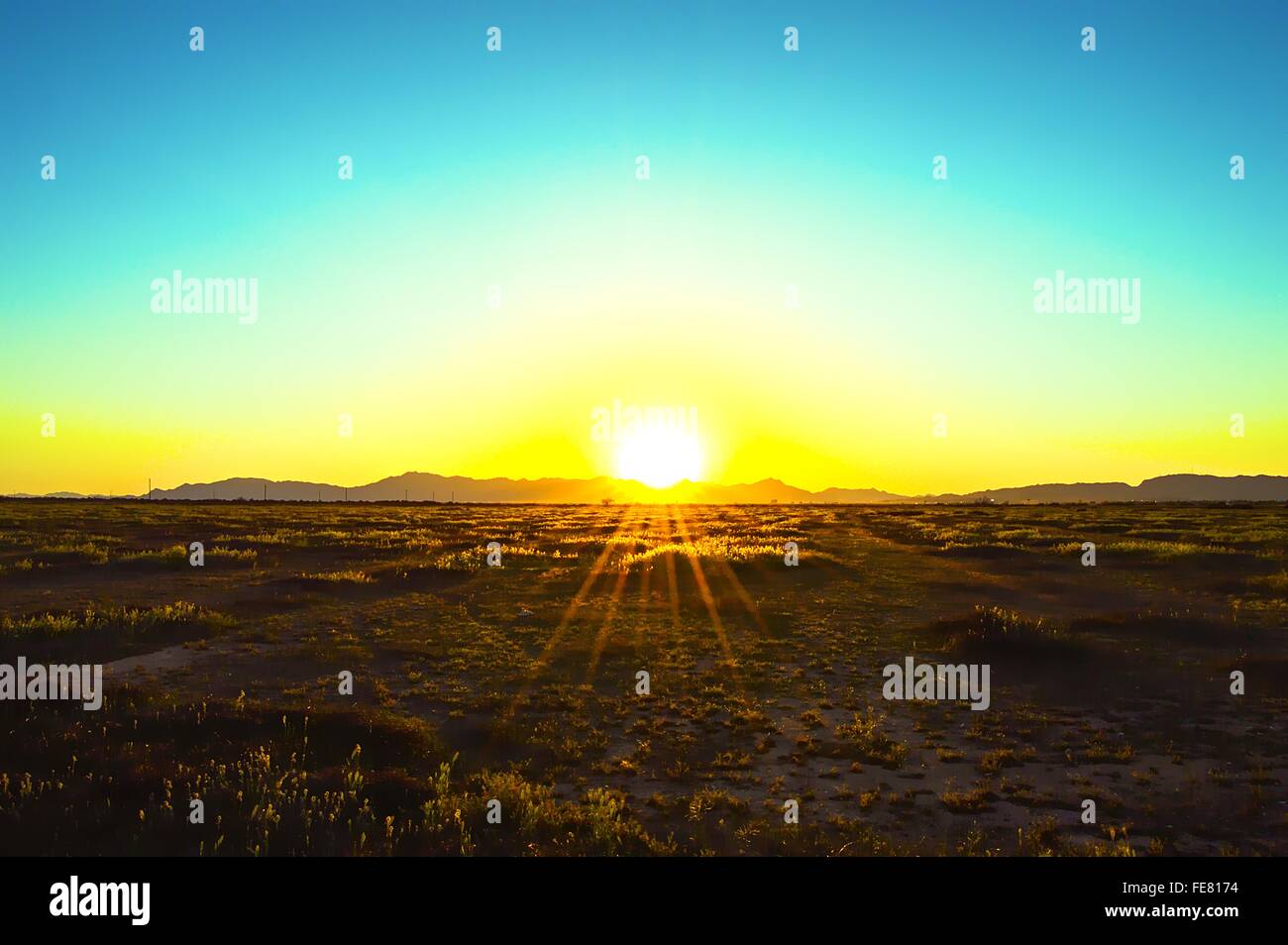 Sunrise lens flare over field hi-res stock photography and images - Alamy