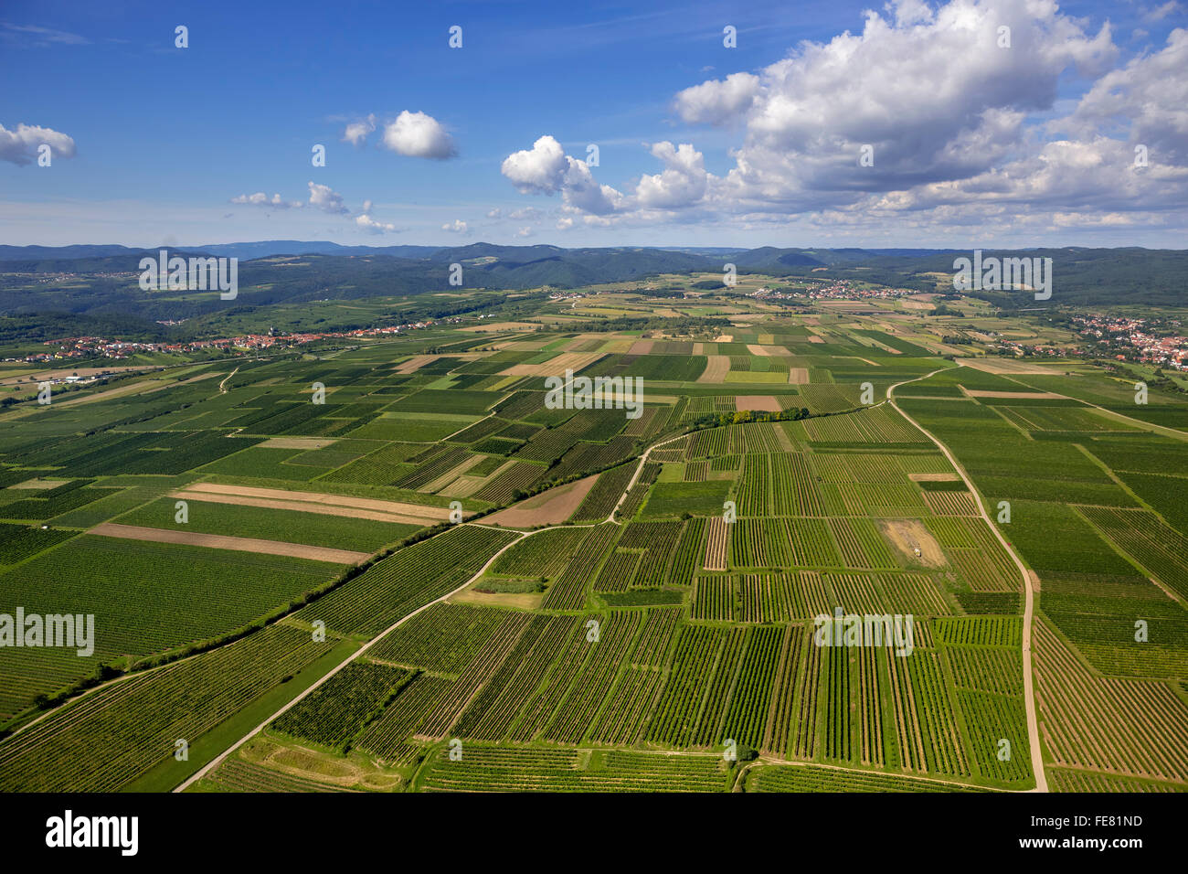 Aerial view, meadows and fields in Lower Austria, agriculture, Lengenfeld, Lower Austria, Austria, Europe, Aerial view, Stock Photo