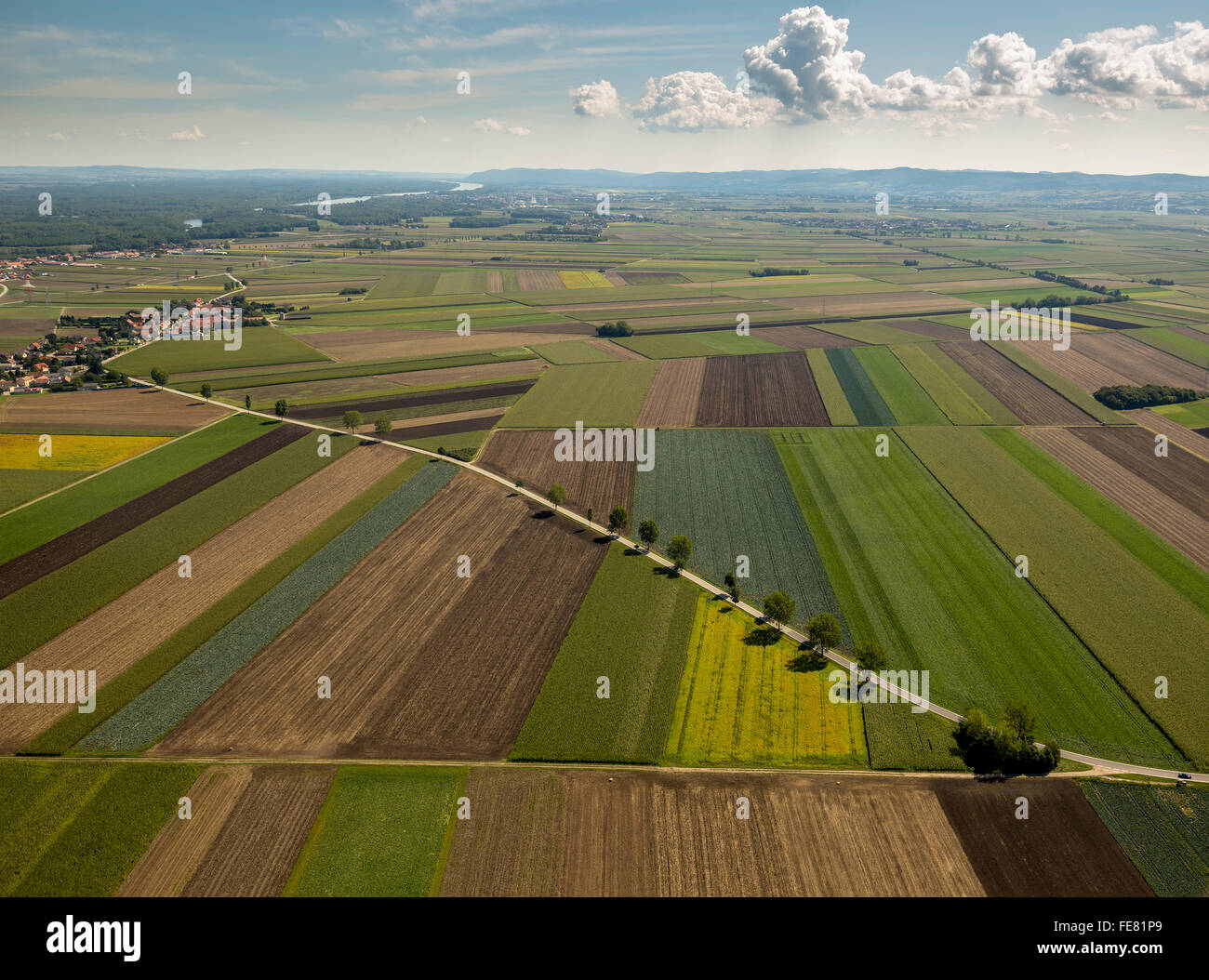 Aerial, agriculture, farming, fields, meadows, field Landscape with road, Michelhausen, Lower Austria, Austria, Europe, Aerial Stock Photo