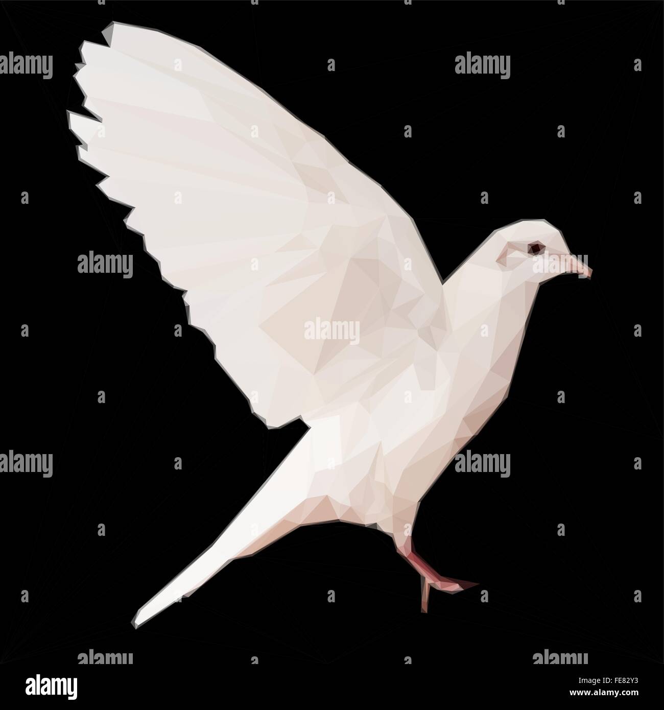 White dove on black Stock Vector Image & Art Alamy